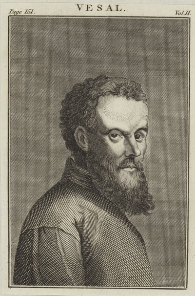 Andreas Vesalius von English School