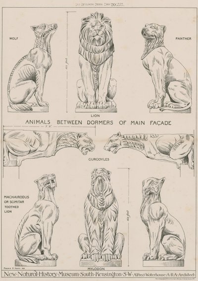 Tiere zwischen den Dachgauben der Hauptfassade des neuen Natural History Museum, South Kensington von English School