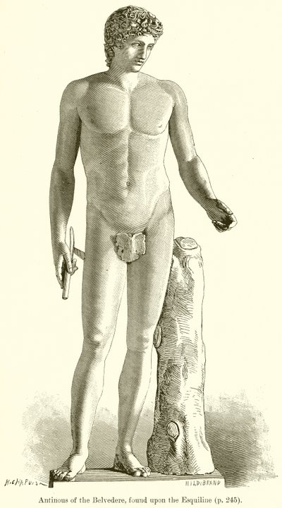 Antinous des Belvedere, gefunden auf dem Esquilin von English School