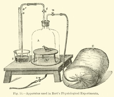 Apparatur, die in Berts physiologischen Experimenten verwendet wird von English School