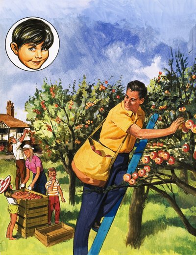 Apfelpflücker von English School