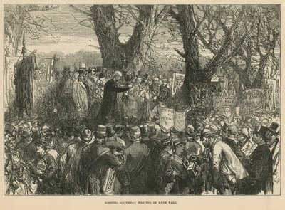 Erzbischof Manning spricht auf der Versammlung im Hyde Park von English School