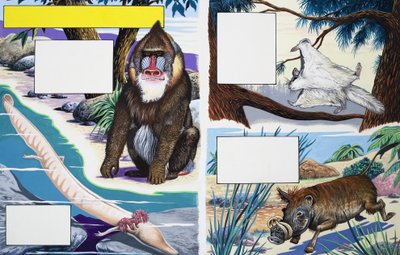 Verschiedene Tiere von English School