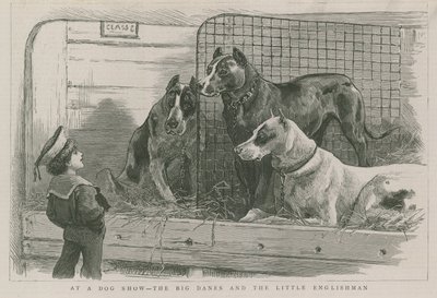 Auf einer Hundeschau - die Doggen und der kleine Engländer von English School