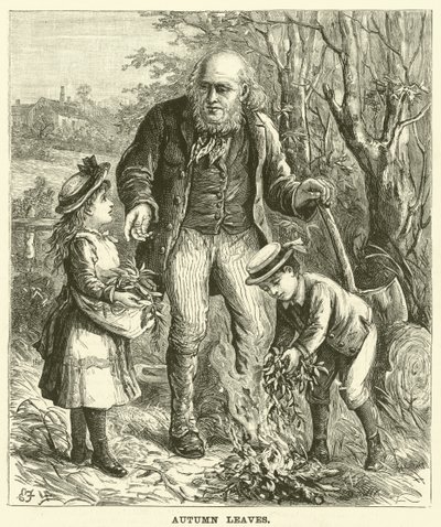 Herbstblätter (Gravur) von English School