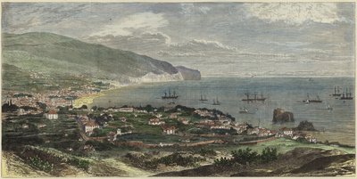 Bucht und Stadt Funchal von English School