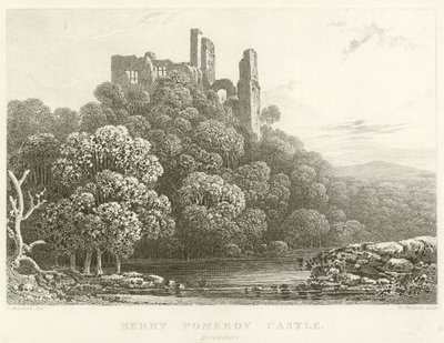 Berry Pomeroy Schloss, Devonshire (Stich) von English School