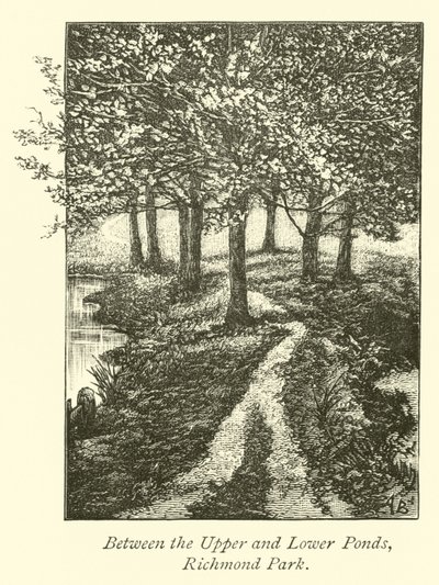 Zwischen den oberen und unteren Teichen, Richmond Park von English School