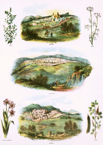 Biblische Illustrationen von English School