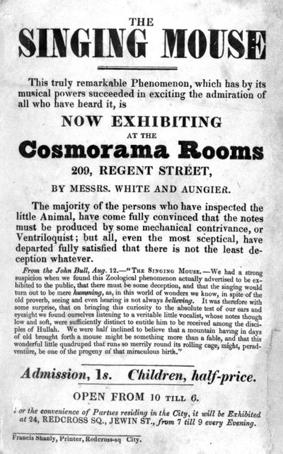 Plakat für die Ausstellung The Singing Mouse in den Cosmorama Rooms, 209 Regent Street, um 1836 von English School