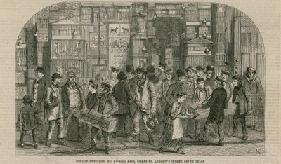 Vogelmesse, Great St Andrews Street, Seven Dials, London von English School