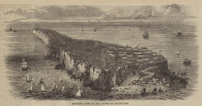 Vogelperspektive der Insel Helgoland (Stich) von English School