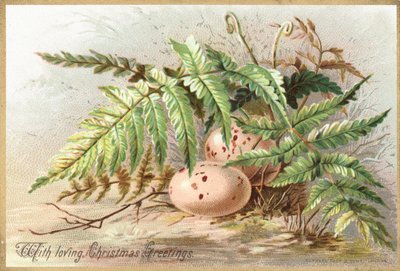 Vogeleier, Weihnachtskarte von English School