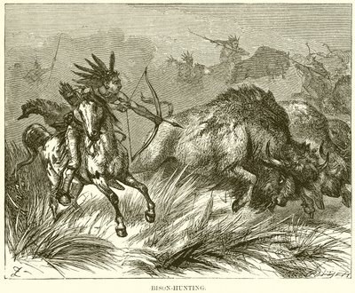 Bisonjagd von English School