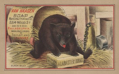 Schwarzbär von English School