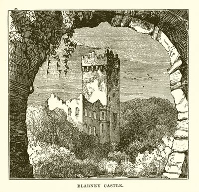 Blarney Castle von English School