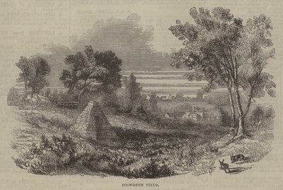 Schlachtfeld von Bosworth von English School