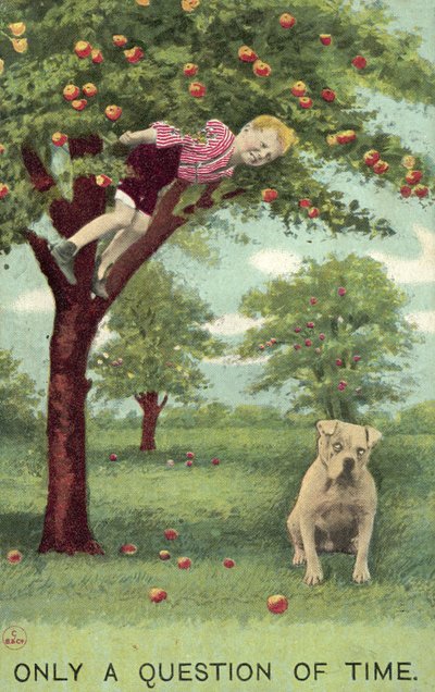 Junge im Apfelbaum, mit Hund unten, der darauf wartet, dass er fällt von English School