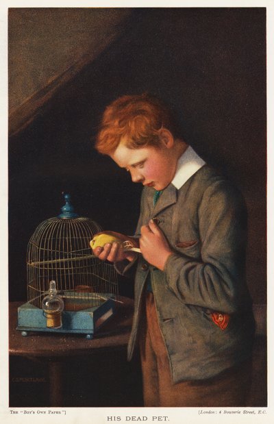 Junge mit seinem toten Kanarienvogel von English School