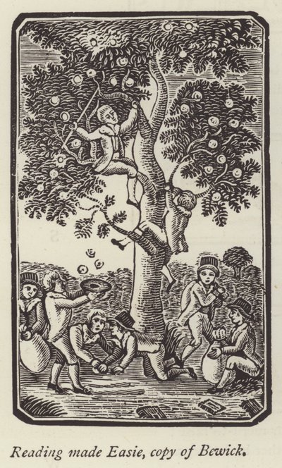 Jungen pflücken Äpfel (Stich) von English School
