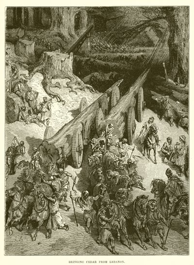 Zedernholz aus dem Libanon bringen von English School