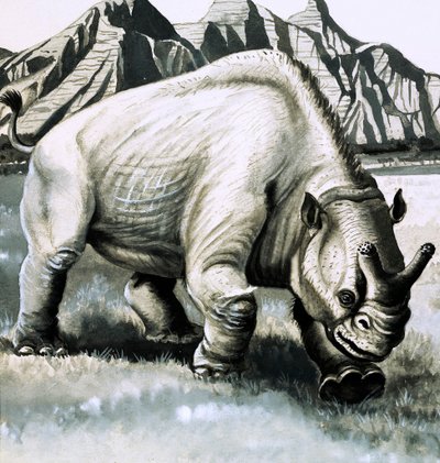 Brontotherium aus dem Oligozän von English School