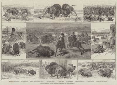 Büffeljagd in den westlichen Territorien Nordamerikas von English School
