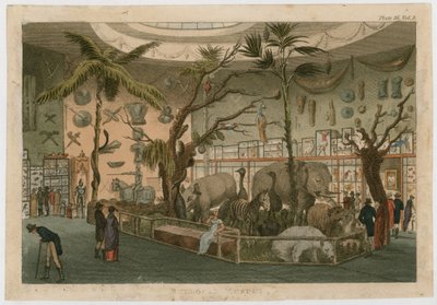 Bullocks Museum von English School