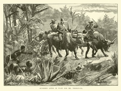 Buschmänner lauern auf Mr. Threlfall von English School