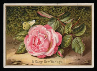 Schmetterling mit einer rosa Rose, Neujahrskarte von English School