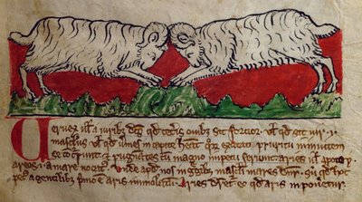 CCA-LitMs/D/10 fol. 8r Hammel, aus Bestiarium von English School