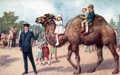 Kamel trägt Kinder, London Zoo von English School