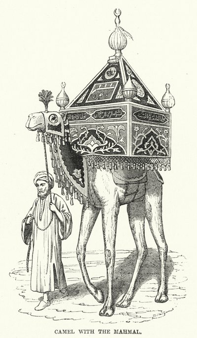 Kamel mit dem Mahmal (Gravur) von English School