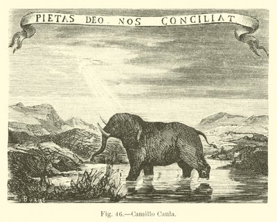 Camillo Caula von English School