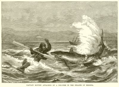 Captain Boyton von einem Hundsfisch in der Straße von Messina angegriffen von English School