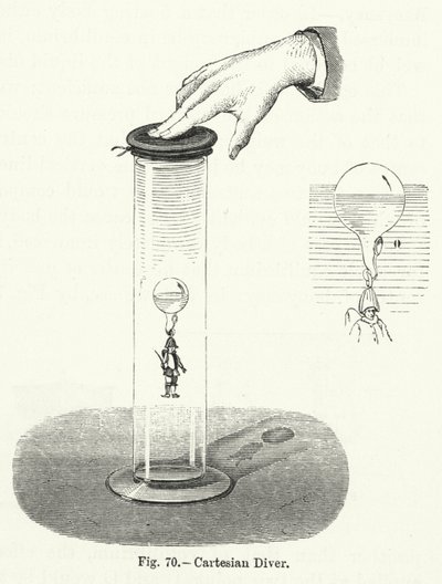 Kartesischer Taucher von English School