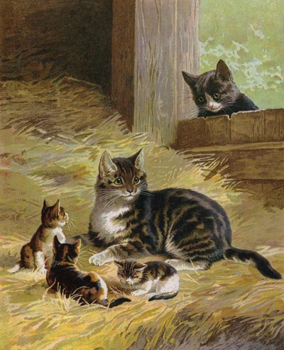 Katze mit ihren Kätzchen in einer Scheune von English School