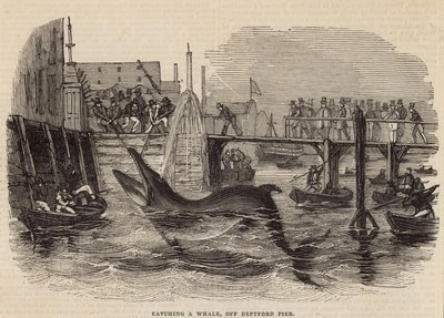 Walfang vor Deptford Pier von English School