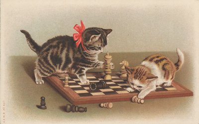 Katzen spielen Schach von English School