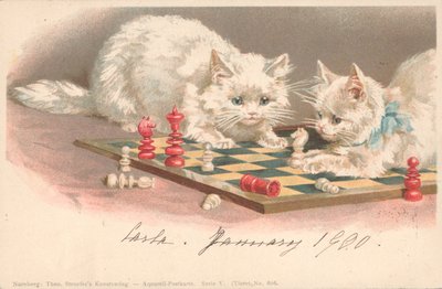 Katzen spielen Schach von English School