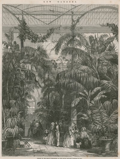 Zentrum des Großen Palmenhauses in den Königlichen Botanischen Gärten von Kew von English School