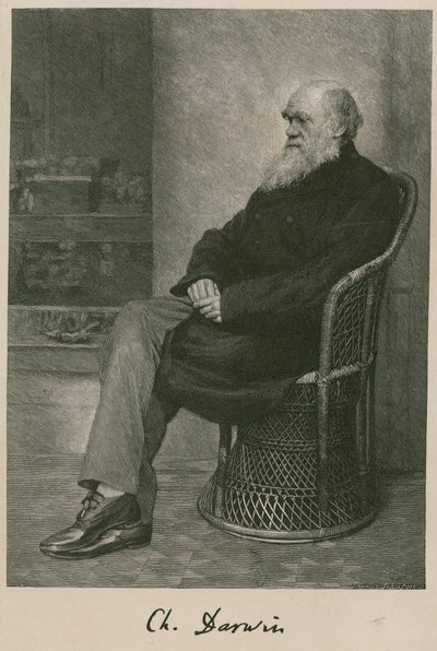 Charles Darwin von English School