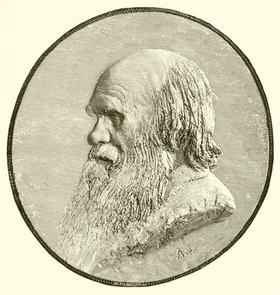 Charles Darwin von English School