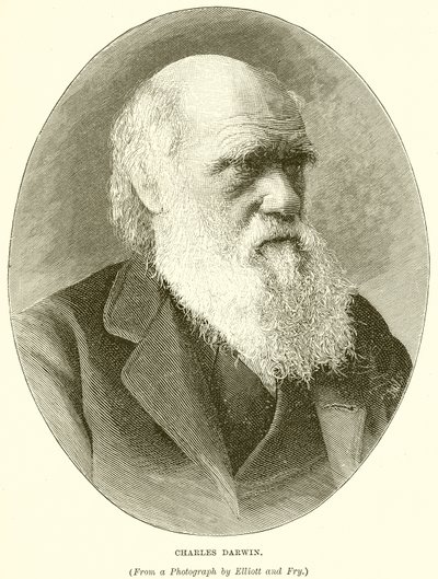 Charles Darwin von English School