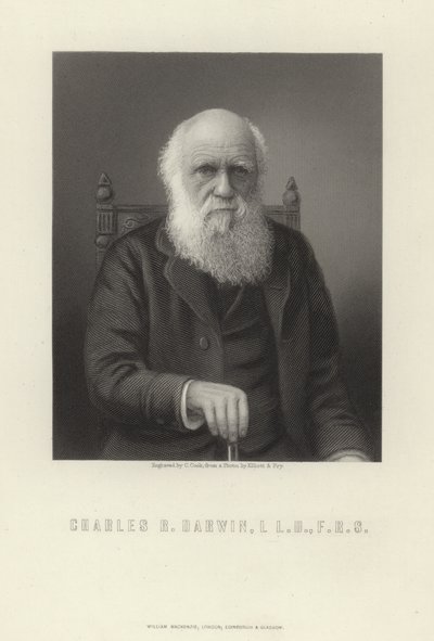Charles R. Darwin von English School