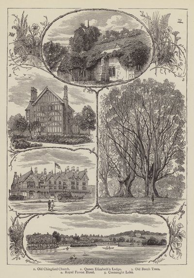Chingford von English School