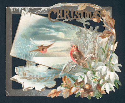 Weihnachtskarte mit zwei Rotkehlchen von English School