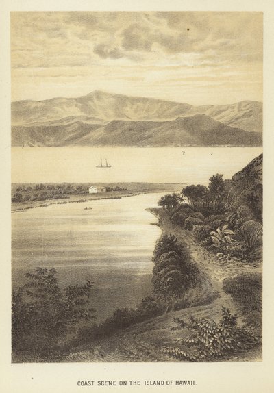 Küstenlandschaft auf der Insel Hawaii von English School