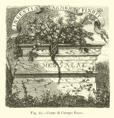 Conte di Campo Basso von English School