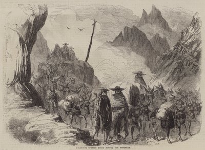 Transport spanischer Weine über die Pyrenäen (Gravur) von English School